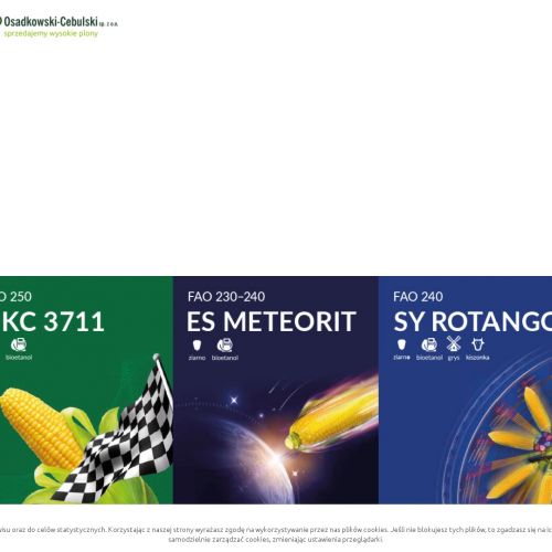 Rzepak ozimy hurtownia w Zielonej Górze