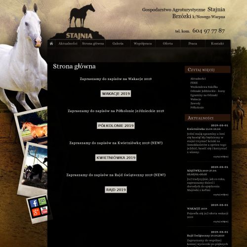 Obozy konne dla dorosłych - Szczecin