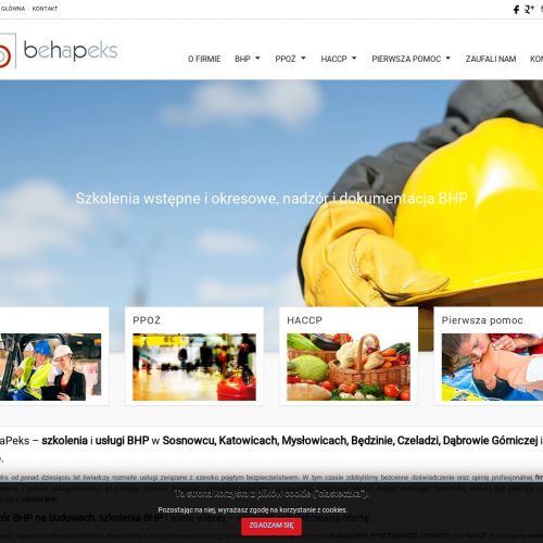 Szkolenia bhp e-learning w Będzinie