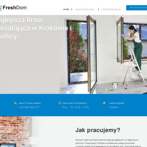 Kraków - czyszczenie sofy