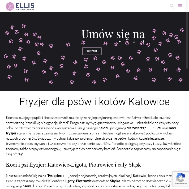 Ruda śląska - salon dla psów