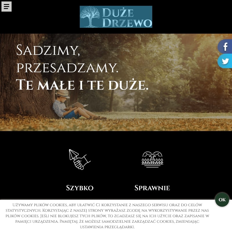 Warszawa - duże drzewa do ogrodu