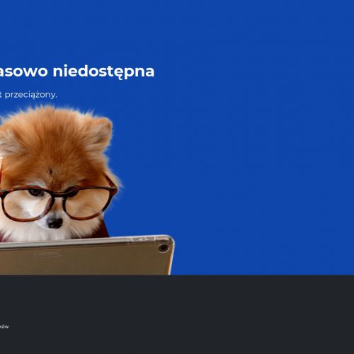 Profesjonalne ozonowanie Warszawa
